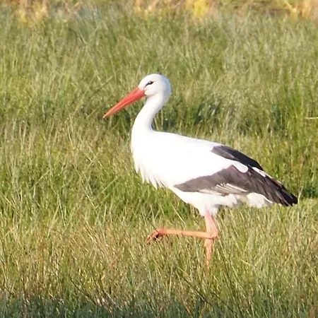 Hage לינה וארוחת בוקר 3*